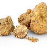 Tartufo bianco del Piemonte