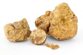 Tartufo bianco del Piemonte