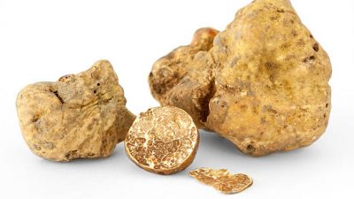 Tartufo bianco del Piemonte