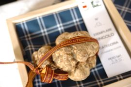 Fiera del Tartufo di Montaldo