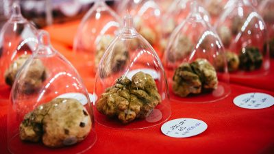 Acquisto del tartufo a Torino