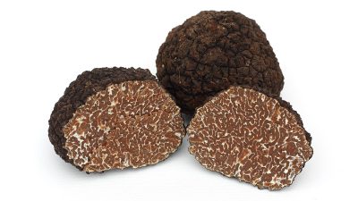 Tartufo nero pregiato piemontese