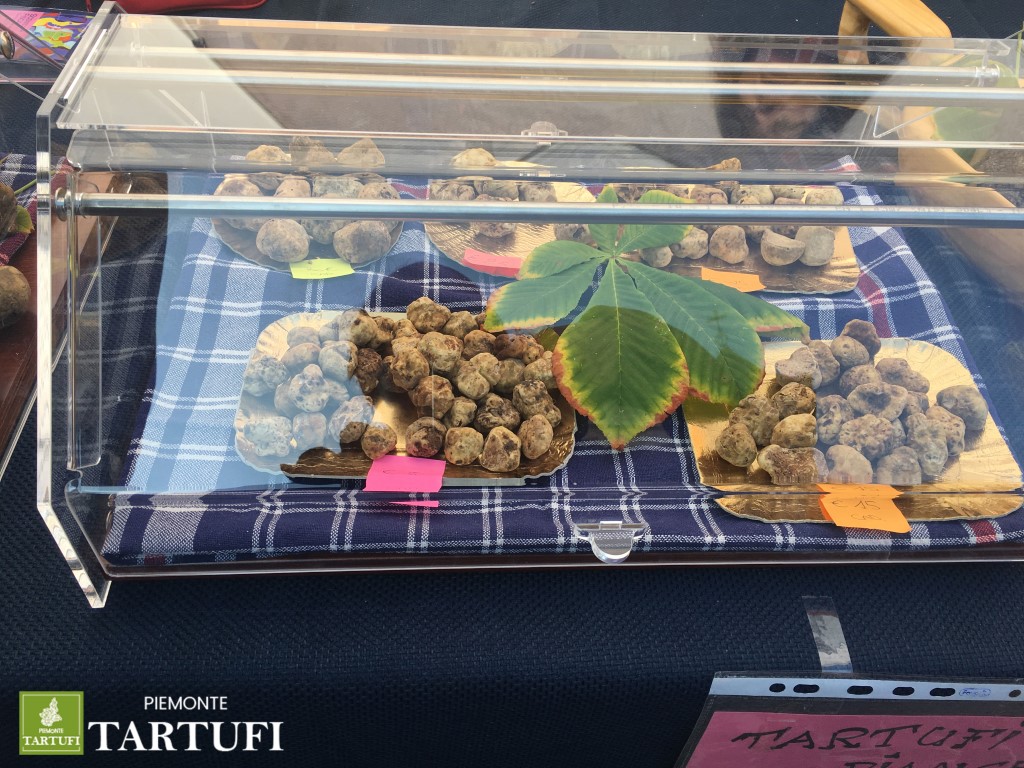 Tartufi in vetrina alla fiera di Alba