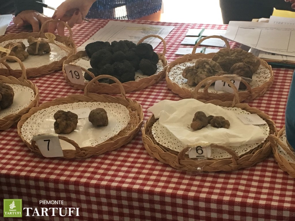 Trifule in vendita a Moncalvo