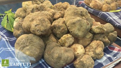 Tartufi bianchi alla fiera di Montiglio