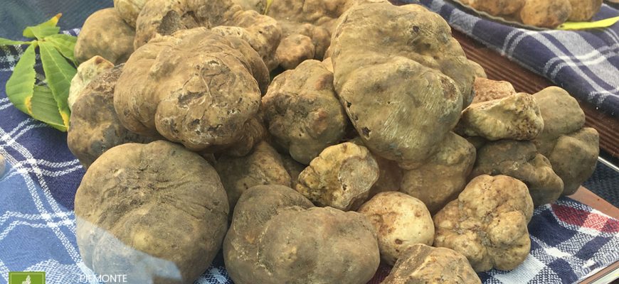 Tartufi bianchi alla fiera di Montiglio