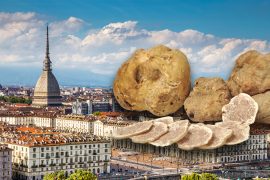 Ricerca dei tartufi a Torino