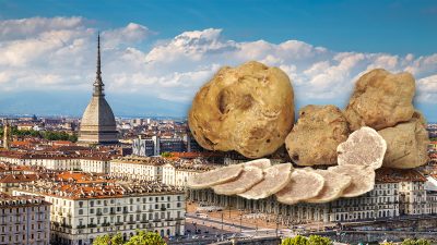 Ricerca dei tartufi a Torino