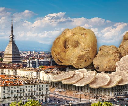Ricerca dei tartufi a Torino