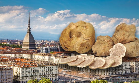 Si Può Mangiare Il Tartufo In Gravidanza