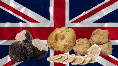 Tartufo in inglese