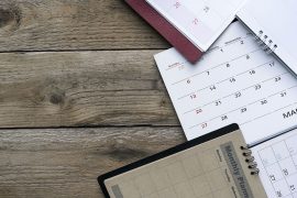 Calendario raccolta tartufo 2019