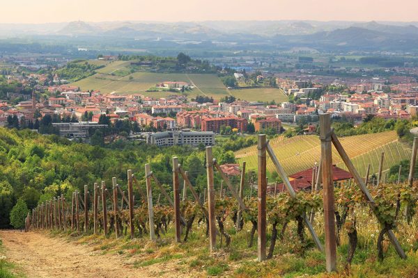 Montà d'Alba cosa vedere e cosa fare Piemonte Tartufi