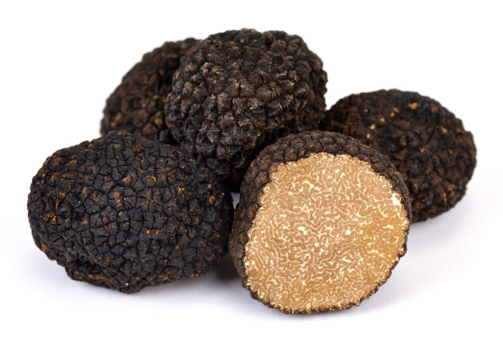 Tartufo nero invernale